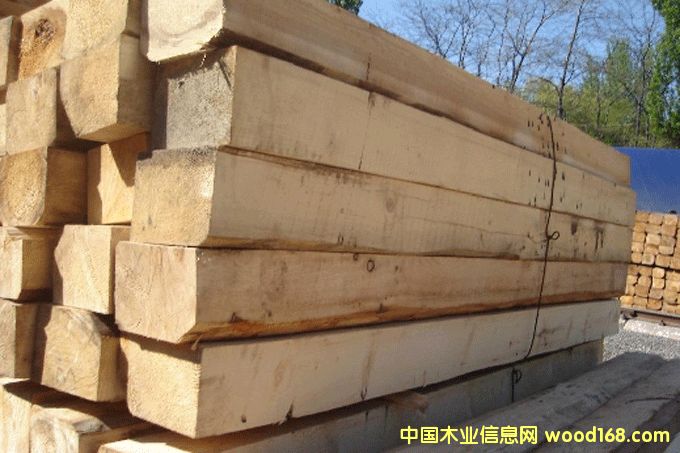 ��ľ��Ԕ����B