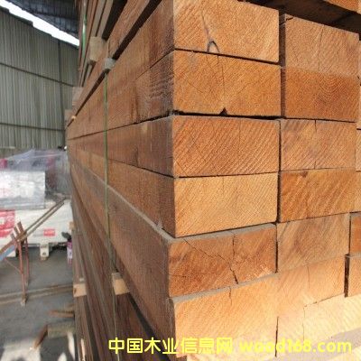 �Fɼ���Fɼľ���Fɼ��ľ���Fɼ��ġ��Fɼ����ľ���l��Ԕ����B