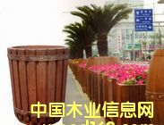 �c���鿴��ľ�Ŵ�DƬ