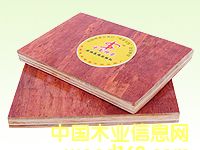 �ߏ���ľ�z�ϰ�