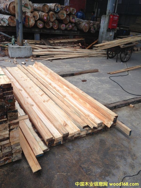 ݗ����ľ��8