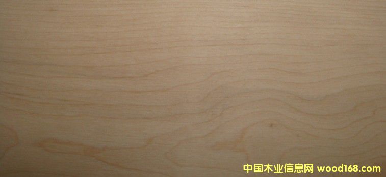 ��ľ����ľ��