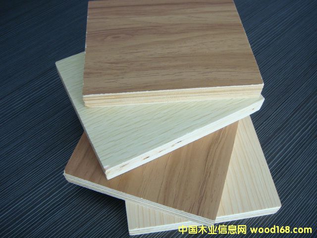 1.6cm�����N���