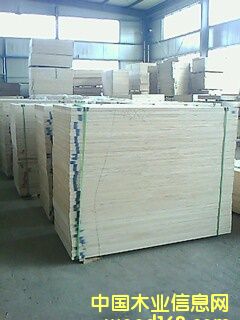 ȫ���z�ϰ�