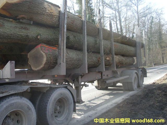 �·�����ԭľ