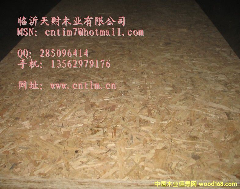 �W�ɰ� OSB��