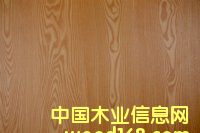 ���B������Ԕ����B