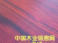 �L�ڹ����ϓ�����S̴(��֦)��Ԕ����B