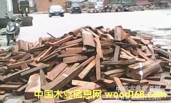 �ϓ��t��֦(��ֺ�S̴)��Ԕ����B