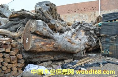 �t��ɼԭ�ϵ�Ԕ����B