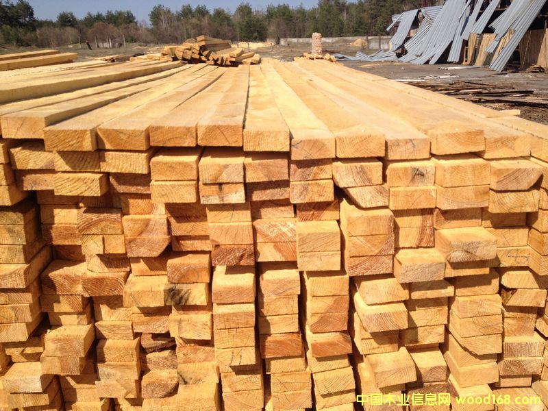 5x10��Ԕ����B