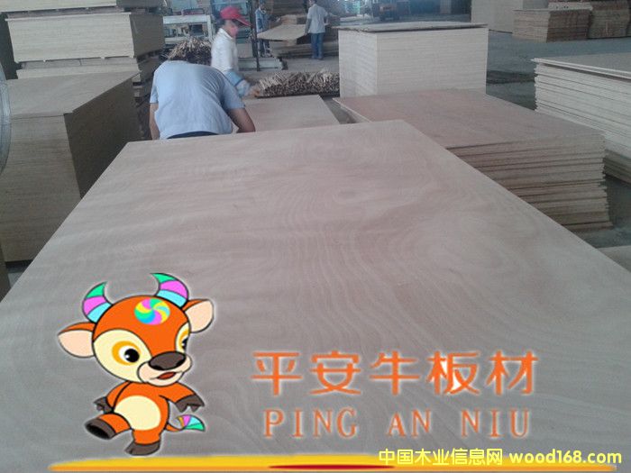 �ߙn�Ҿ߶��Ӱ塢�����z�ϰ塢��ľ�N���