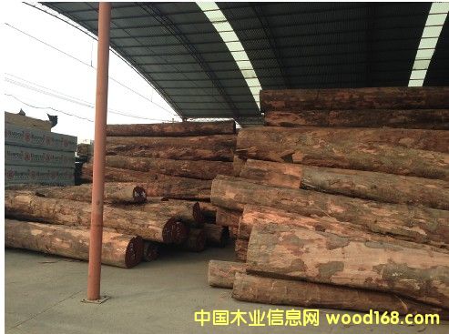 ���_�T��̴��Tubi����Ԕ��(x��)��B