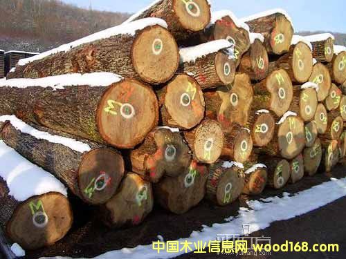 ��ľ���ĵ�Ԕ��(x��)��B