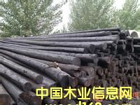 ����늗U��Ԕ��(x��)��B