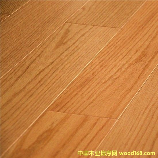 ����(gu��)�t����(sh��)ľ�ذ��Ԕ��(x��)��B