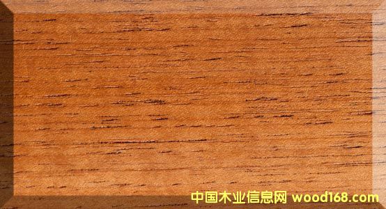 ������ѩ�ɵ�Ԕ��(x��)��B