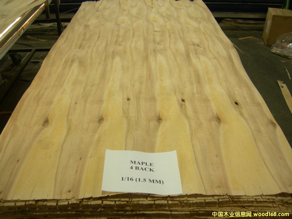 ��ľ�L(zh��ng)�а��Ԕ��(x��)��B