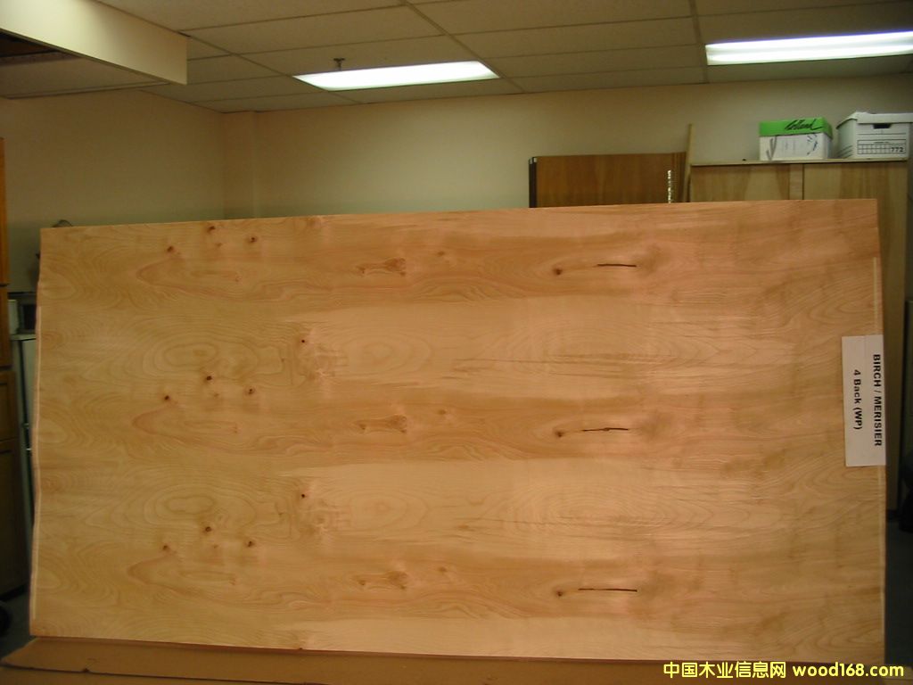 ��ľ�L(zh��ng)�а��Ԕ��(x��)��B