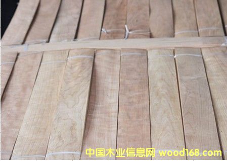 0.6���ҵذ��ϵ�Ԕ����B