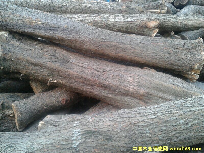 ɣ���Ԕ����B