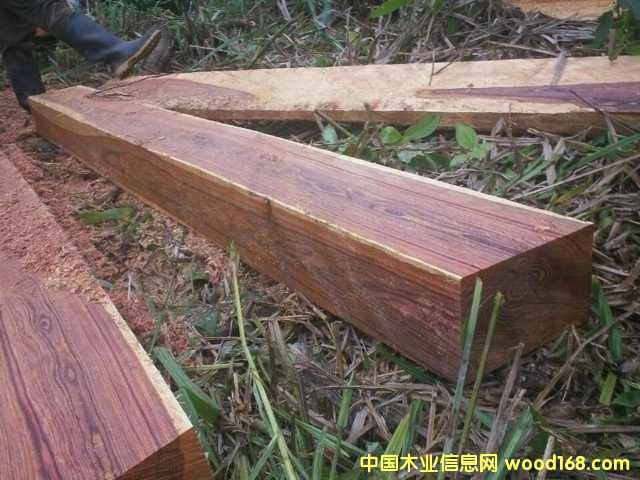 ΢���S̴��Ԕ����B