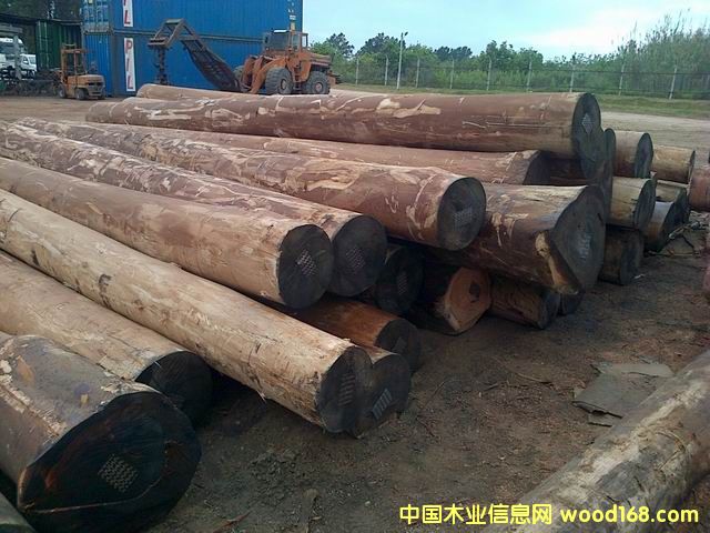 [��] �ֈ�(ch��ng)����ֱ��FSC��ľԭľ