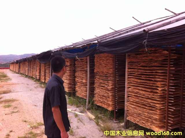 �M����ľ���а� ��� ��Ƥ