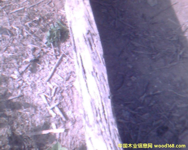 ��ľ��Ԕ��(x��)��B