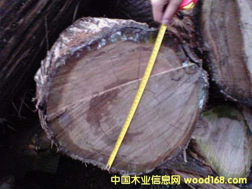 ��ľԭľ��Ԕ����B