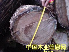 ���ľ��Ԕ����B