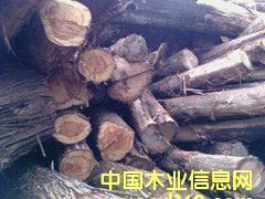 ���ľ��Ԕ����B