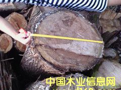 ���ľ��Ԕ����B