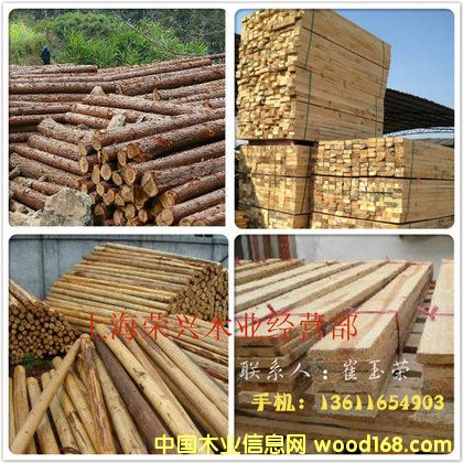 ɼľ/�G���U,��ɼľ��Ԕ����B