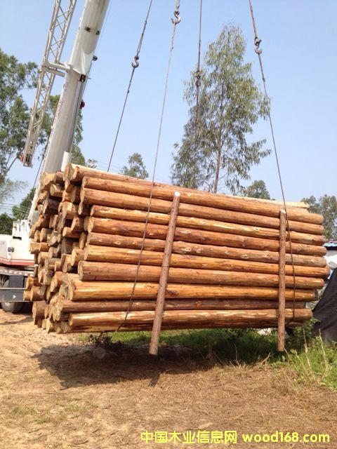 ɼľ��Ԕ����B