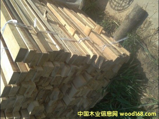 �c���鿴���K��ľ����ľ�l�Ŵ�DƬ