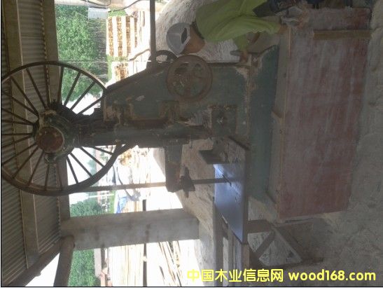 �c���鿴��ľ������ľ�l�Ŵ�DƬ