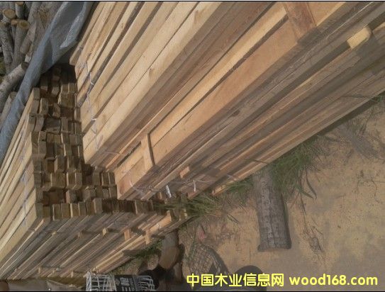 �c���鿴ľ����ľ�l����ľ��Ŵ�DƬ