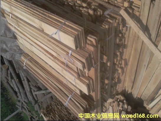 �c���鿴��ľ�l����ľ���Ŵ�DƬ