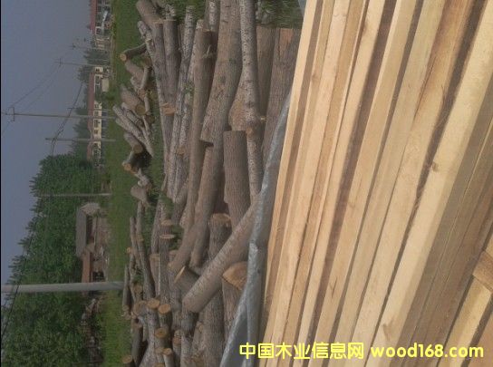 �c���鿴��ľ��ģ�ľ�l��ľ���Ŵ�DƬ