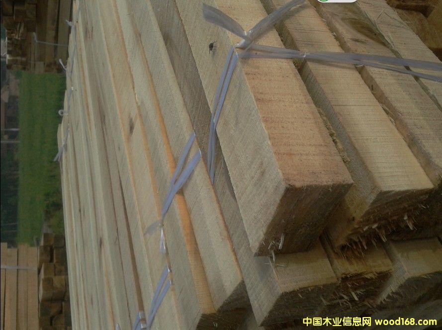 �c���鿴���ľ�������ľ�l��Ԕ���Y��