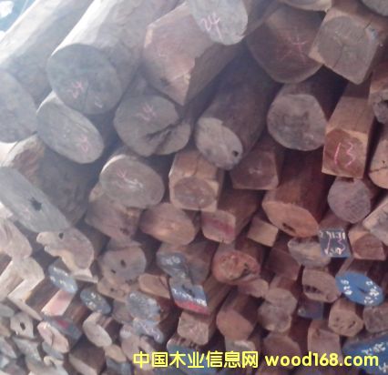 �ϓ��t��֦��Ԕ����B