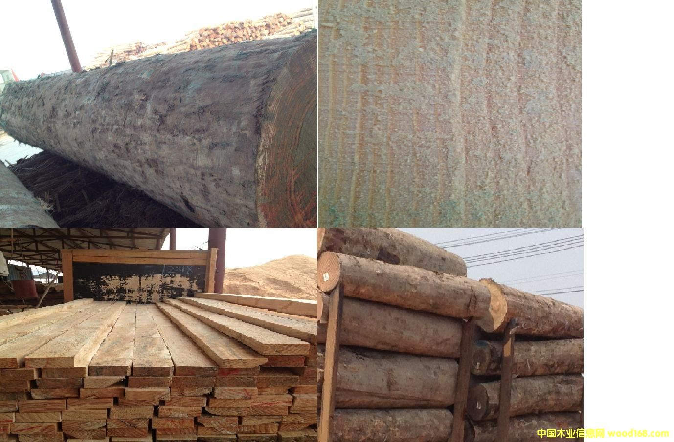 ݗ���ɵ�Ԕ����B