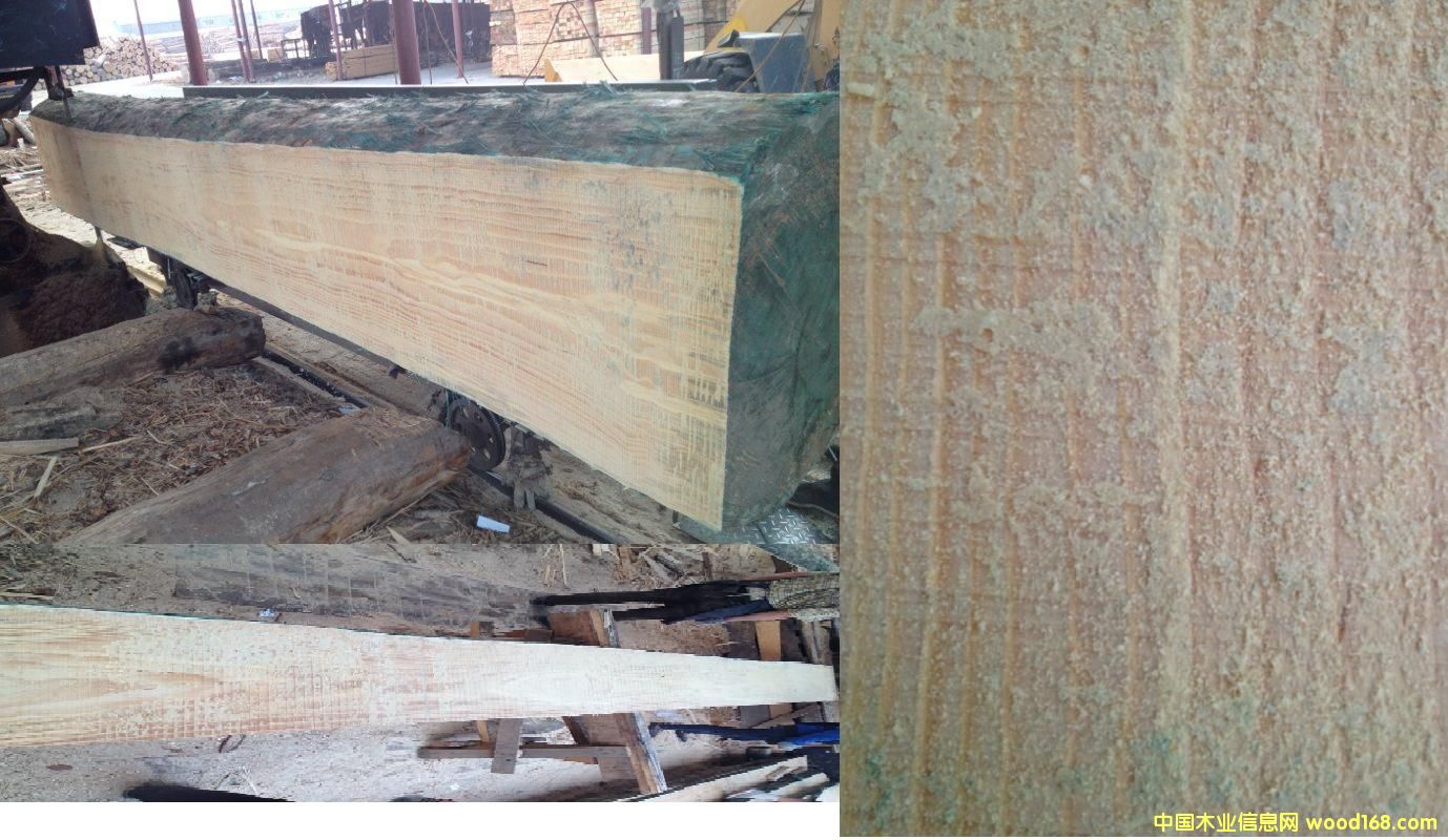 ݗ���ɵ�Ԕ����B