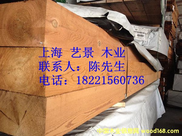 �tѩ�ɵ����c�������Ԕ����B