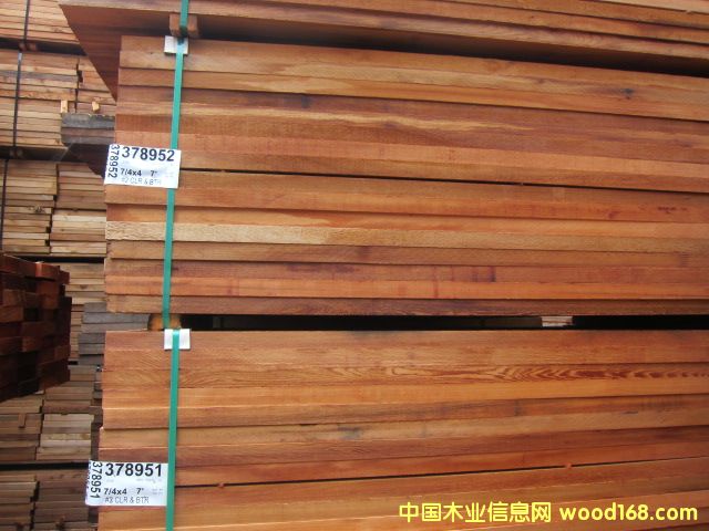 ɣ�÷�Ӿ�ؼtѩ�����