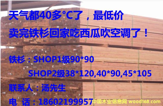 �FɼSHOP1��Ԕ����B