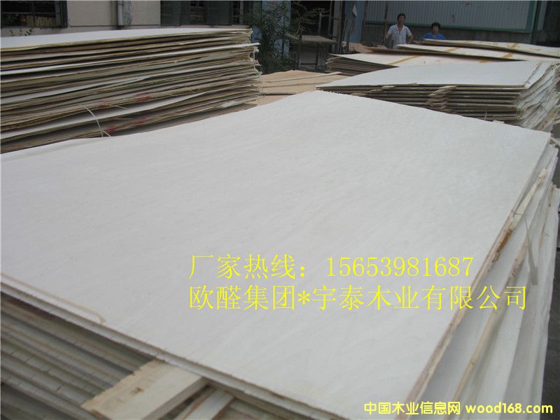 ��ľ�z�ϰ���Ӱ� �ט�/�����Ԕ����B