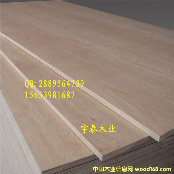 ��ľ���Ӱ� Ư�ט�ľ/�����Ԕ����B