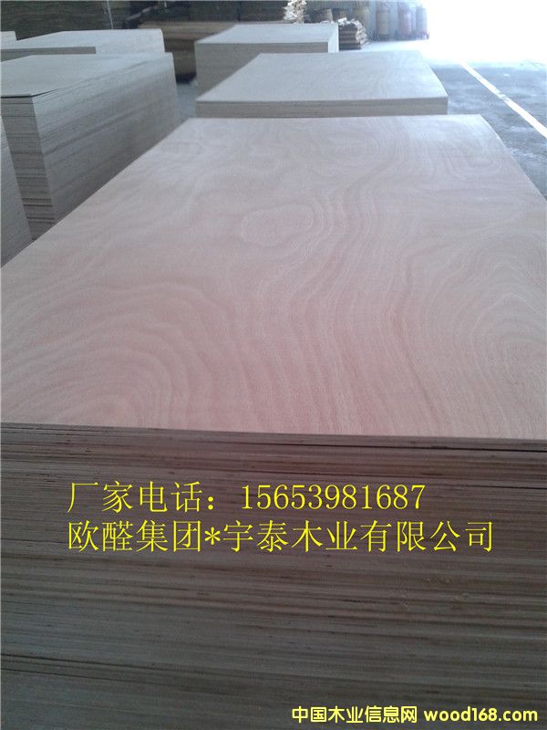 �W������׼Ҿ߰��Ԕ����B